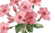 2023年必生儿子的属相 和和美美幸福长久