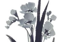 22年属龙人在12月能脱单吗 脱单容易拒绝诱惑