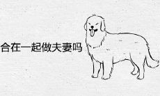 属狗和属狗适合在一起做夫妻吗