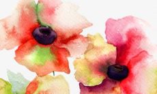 2022年12月属蛇人犯烂桃花吗 运势不佳积极调整