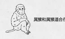 属猴和属猴适合在一起做夫妻吗