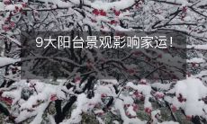 9大阳台景观影响家运!