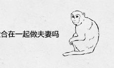 属猴和属狗适合在一起做夫妻吗