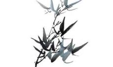 2022年11月25日特吉生肖查询 今日属什么生肖