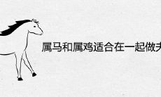 属马和属鸡适合在一起做夫妻吗
