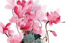 2023年几月份备孕能生龙宝宝 好运常伴事事顺利