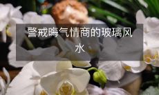 警戒晦气情商的玻璃风水