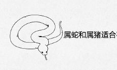 属蛇和属猪适合在一起做夫妻吗