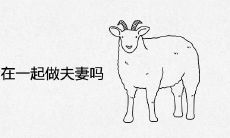 属马和属羊适合在一起做夫妻吗