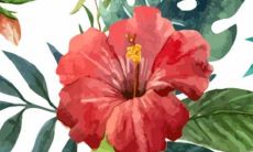 2023年运气最差的三大生肖 提升自己等待时机