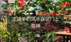 生活中的风水误区门上放钟