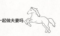 属马和属猪适合在一起做夫妻吗