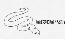 属蛇和属马适合在一起做夫妻吗