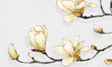 收到彩礼当天要回礼吗 礼尚往来习俗讲究