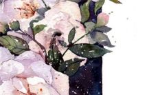 结婚当天家里着火了意味着什么 结婚时着火了怎么办