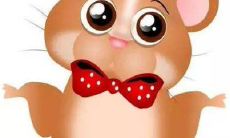 生肖属鼠的男人喜欢什么样的女人