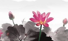 见男方父母红包要收吗 注意见面礼节和身份