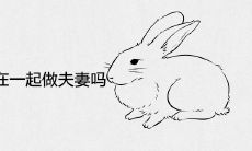 属兔和属兔适合在一起做夫妻吗