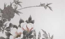 见男方父母送什么礼物 提前了解对方喜好