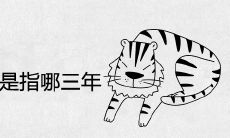 属虎的三年大运是指哪三年