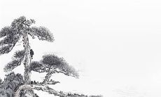 结婚戒指怎么戴 情感状态爱情羁绊