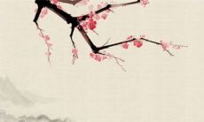 结婚贴双喜还是单喜 地域文化迎接喜气