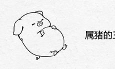 属猪的三大贵人