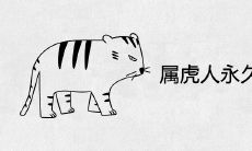 属虎人永久吉利的颜色