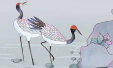 新娘的亲妹妹是不是不能送亲 结婚伴娘选什么人