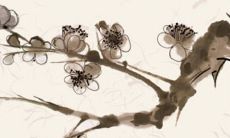 南方彩礼高还是北方彩礼高 南北方存在一定差异