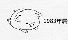 1983年属猪的吉祥物是什么
