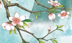 适合农村的婚礼主持词 农村司仪的主持稿