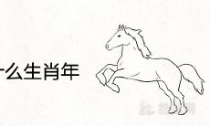 2026年属什么生肖年 是什么命