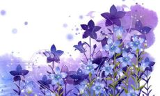 见男方父母红包多少钱 经济状态等因素