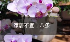 家居不宜十八条