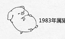 1983年属猪人永远最旺的颜色