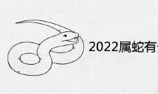 2022年属蛇有贵人相助吗