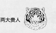 生肖虎命中有两大贵人