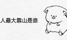 属猪人最大靠山是谁