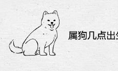 属狗几点出生大富大贵是享福命