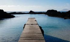 生肖鼠出生在哪些日子既有财气又有福气