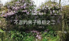 不吉的房子格局之二