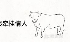 哪些生肖男最牵挂情人 很难放下感情的属相