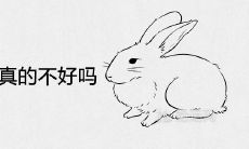 2023年兔年真的不好吗 适合添丁吗