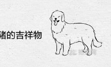 男94狗女96鼠什么时候要孩子 生什么宝宝好