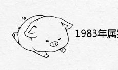 1983年属猪的吉祥物是什么 招财旺财的摆件饰品