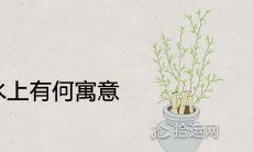 鹦鹉在风水上有何寓意 对财运好不好