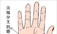 婚姻线分叉图解，代表什么意思？