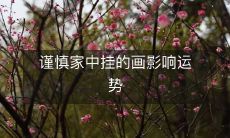 谨慎家中挂的画影响运势