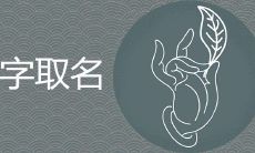 琪的意思和含义是什么 与什么字搭配取名最好